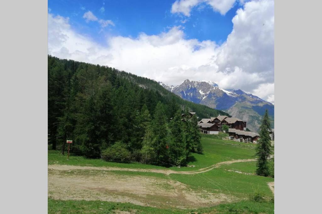 Appartement Puy Saint Vincent Alpes Du Sud Ete - Hiver ピュイ・サン・ヴァンサン エクステリア 写真